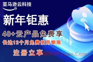 亚马逊云科技新年钜惠 40+核心云服务免费试用 免费期限长达12个月