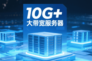 RAKsmart推出10G+大带宽服务器 价格低至$399/月 美国/香港/日本等多机房