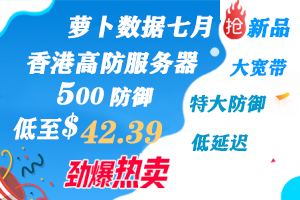萝卜数据新上架香港高防服务器2核2G100M大宽带500G防御月仅42美元