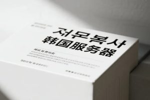  大陆优化/CN2/BGP线路稳定的韩国服务器推荐支持扩展