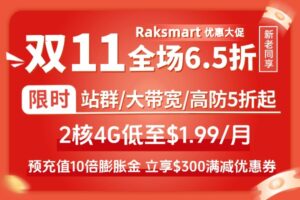 RAKsmart双十一大促 全场6.5折新老同享 VPS 2折起 站群/大带宽/高防活动服务器5折起